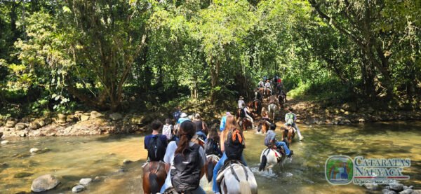 Tour a caballo - Image 4
