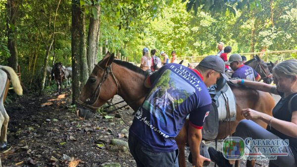 Tour a caballo - Image 2