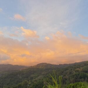 Tour de tarde en 4x4 (Semiprivado)