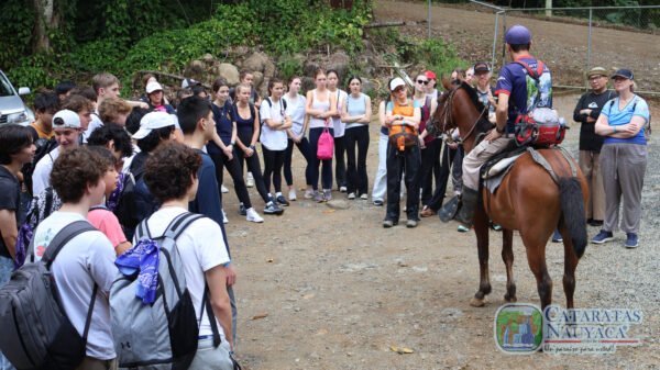 Tour a caballo - Image 8