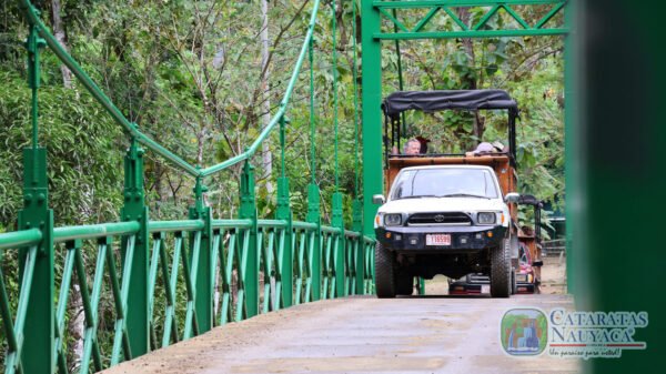 Tour en Pick Up - Image 8