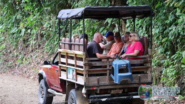 Tour en Pick Up - Image 9