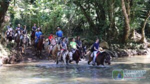 Tour a caballo