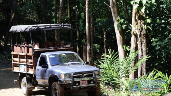 Tour en Pick Up